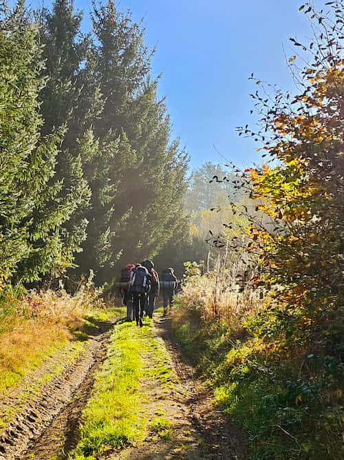 Een groep wandelt over een zonnig bospad tijdens een bushcrafttocht.