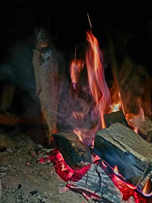 Een hele vis wordt geroosterd boven een open vuur op stokken tijdens het buiten koken.